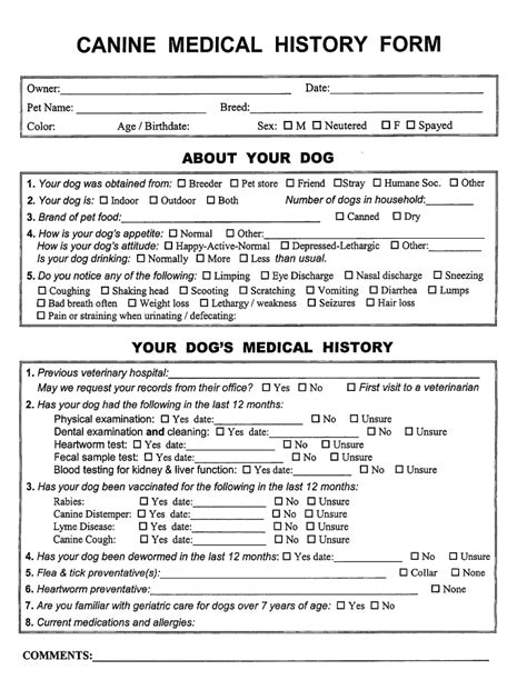 Printable Veterinary Physical Exam Form